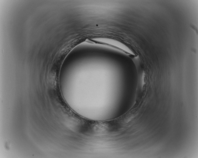 X0000099490599200805151408