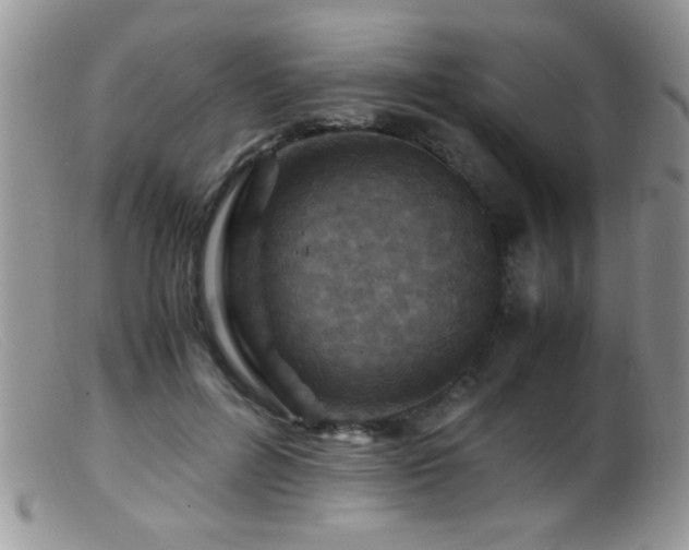 X0000099490600200805151408