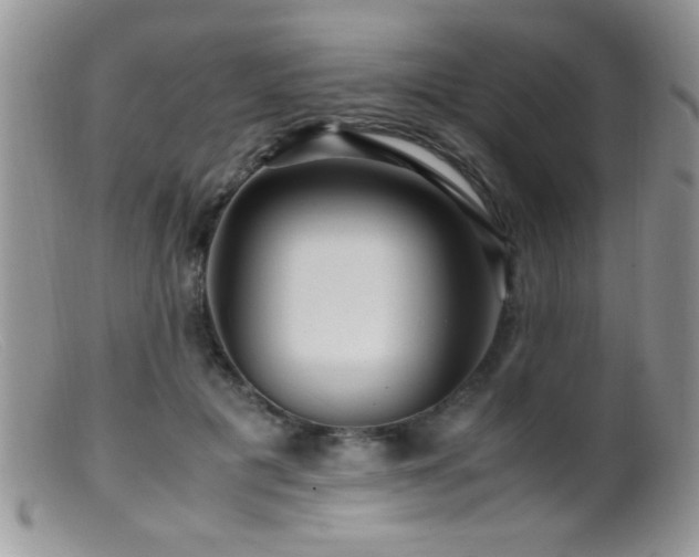 X0000099490601200805151408