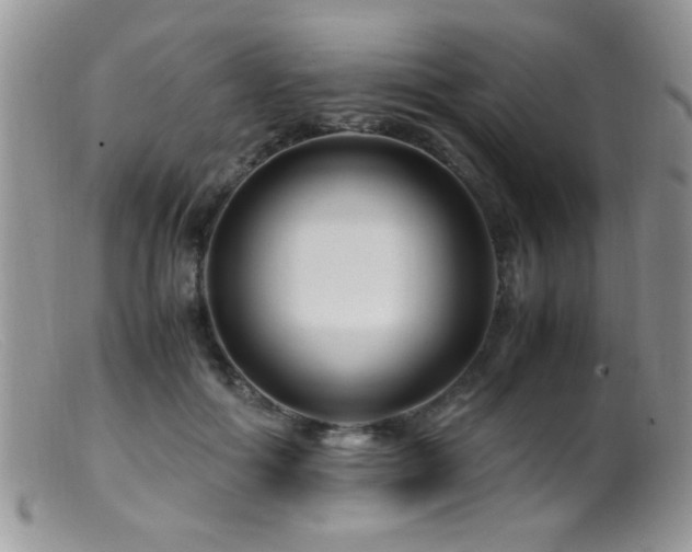 X0000099490602200805151408