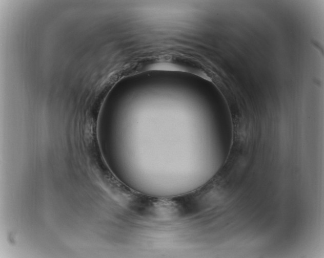 X0000099490603200805151408