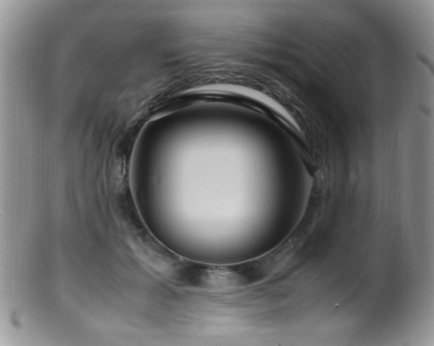 X0000099490605200805151408