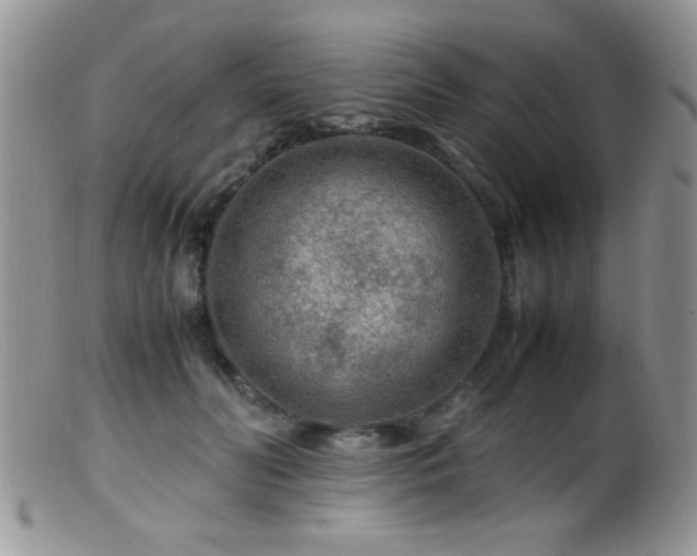 X0000099490606200805151408