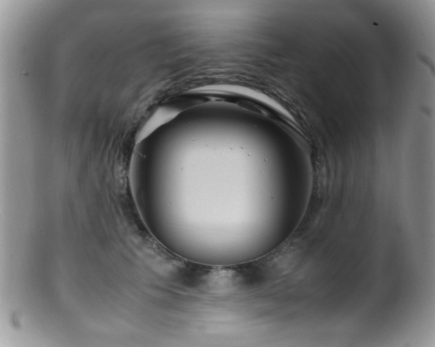 X0000099490609200805151408