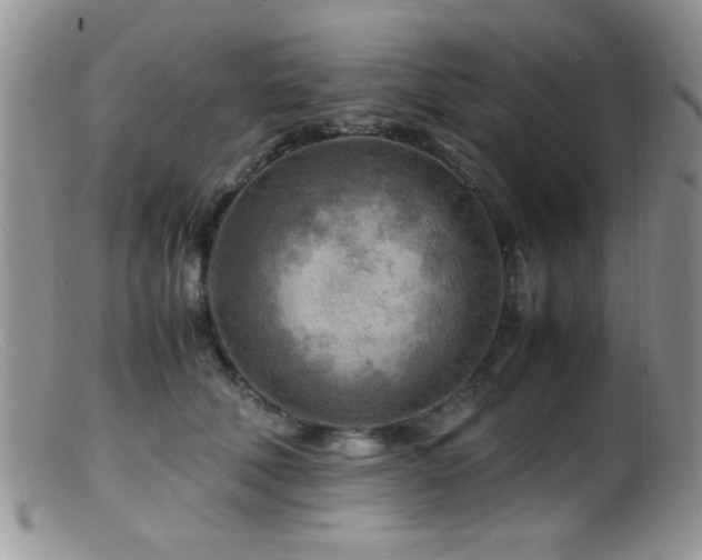 X0000099490610200805151408