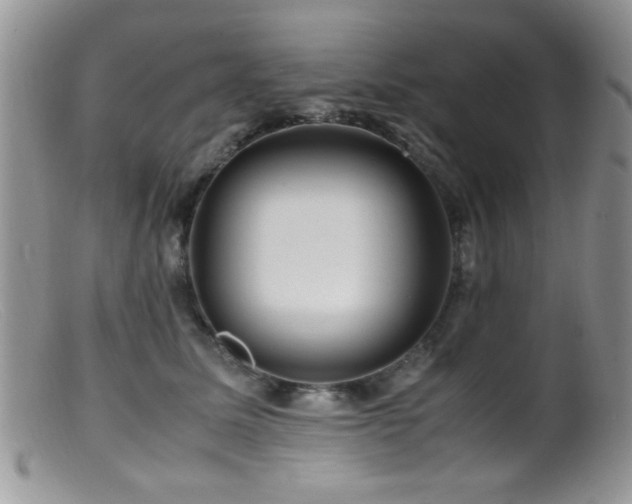 X0000099490611200805151408
