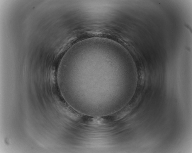 X0000099490612200805151408