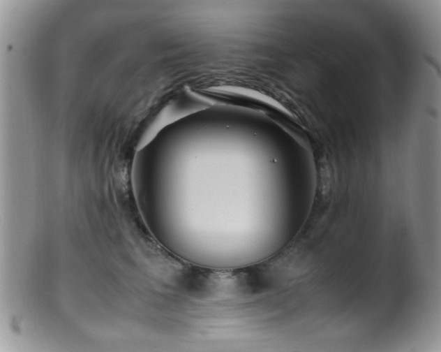 X0000099490613200805151408
