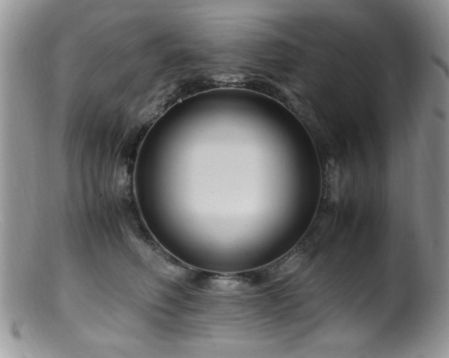 X0000099490614200805151408