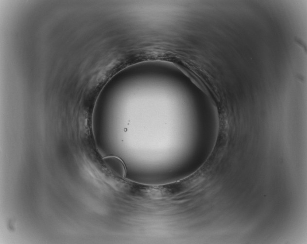 X0000099490615200805151408