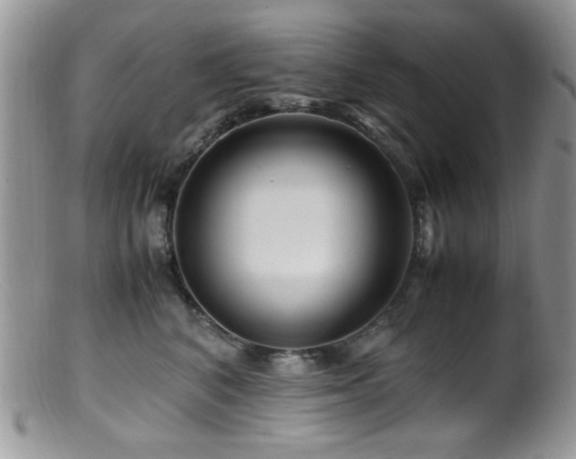 X0000099490616200805151408