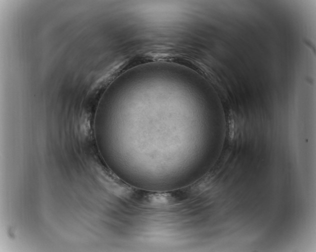 X0000099490618200805151408