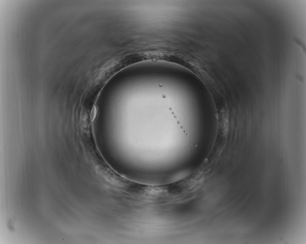 X0000099490619200805151408