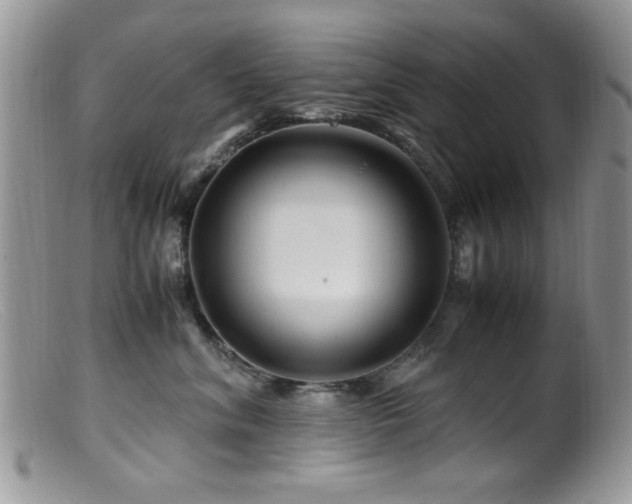 X0000099490620200805151408