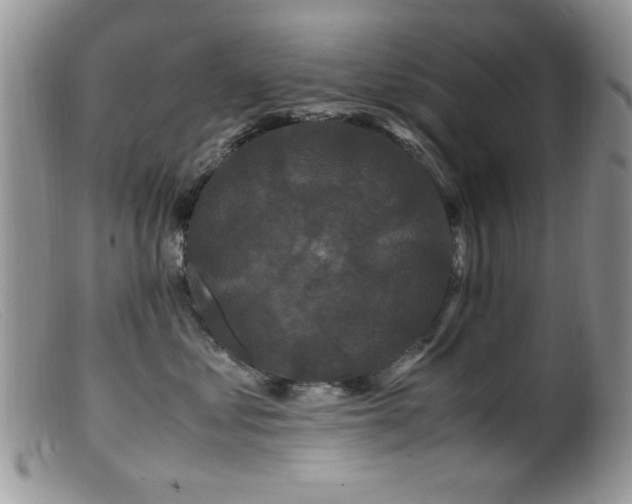 X0000099490621200805151408
