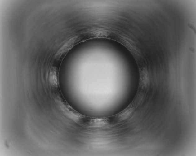 X0000099490622200805151408
