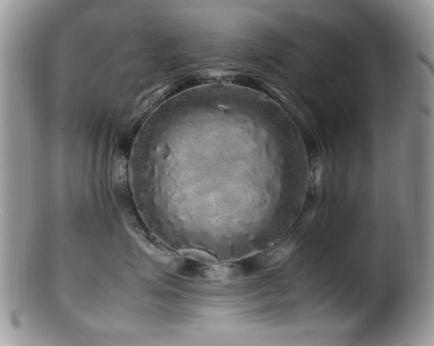 X0000099490623200805151408