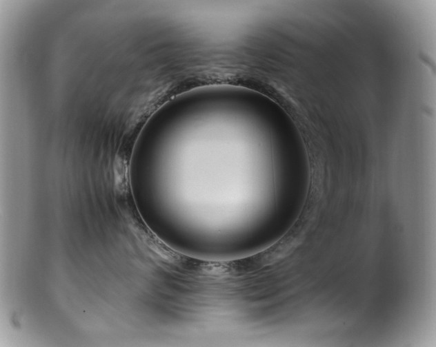 X0000099490624200805151408