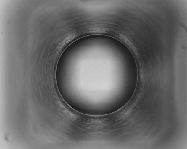 X0000099490625200805151407