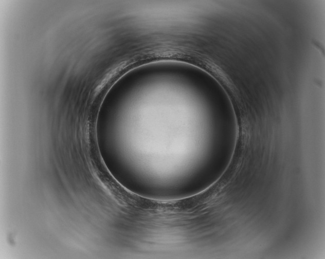 X0000099490626200805151407