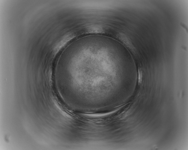 X0000099490627200805151407