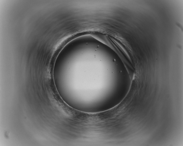 X0000099490628200805151407