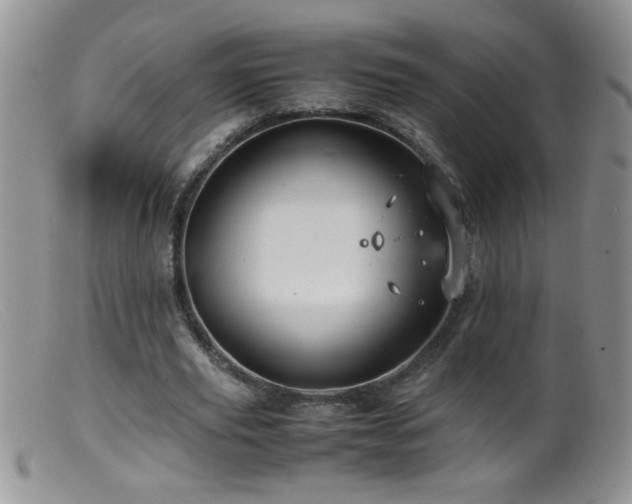 X0000099490629200805151407