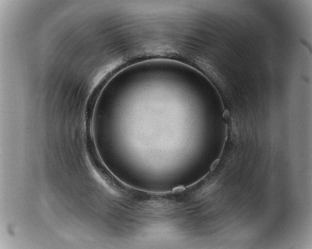 X0000099490630200805151407
