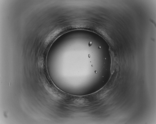 X0000099490631200805151407