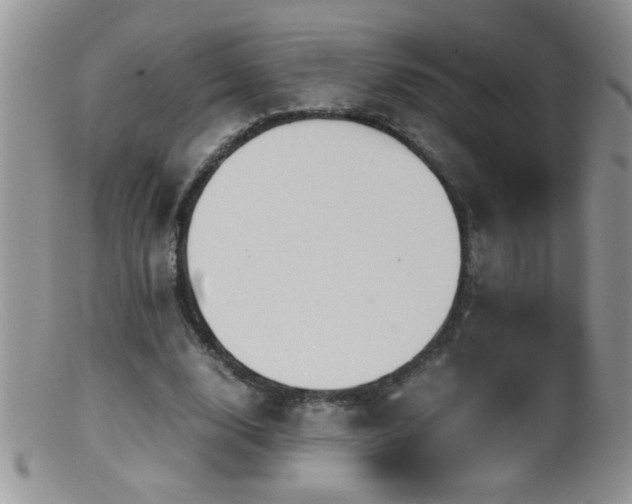 X0000099490632200805151407