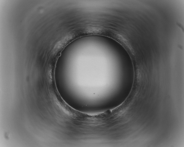 X0000099490633200805151407