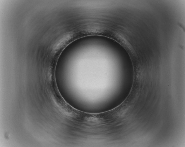 X0000099490635200805151407