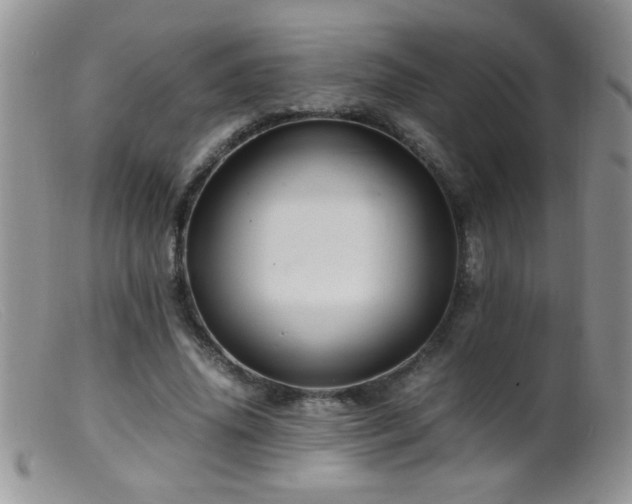 X0000099490636200805151407