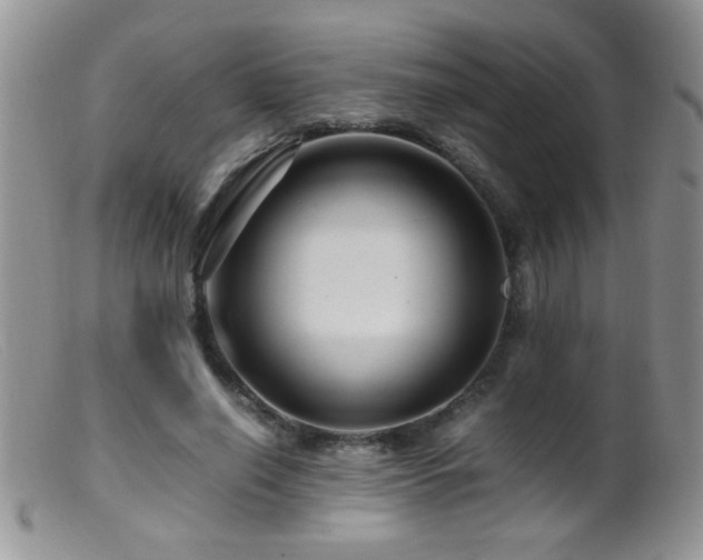 X0000099490638200805151407