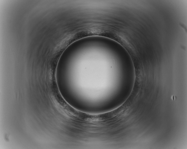 X0000099490639200805151407