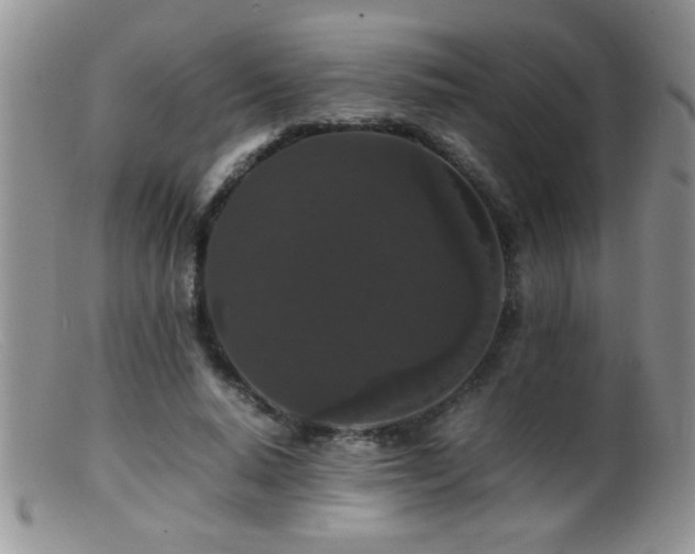 X0000099490640200805151407