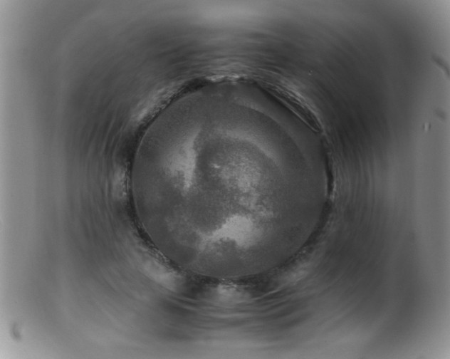 X0000099490641200805151407