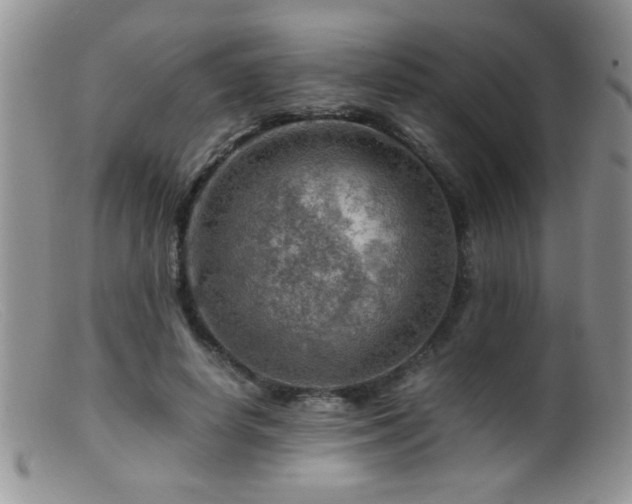 X0000099490642200805151408