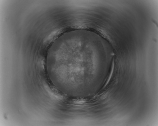 X0000099490643200805151408