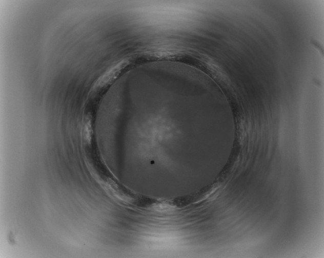 X0000099490644200805151408