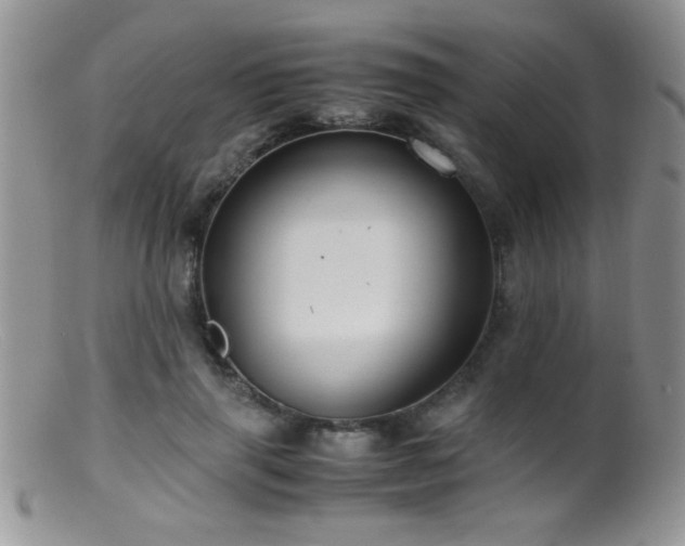X0000099490645200805151408