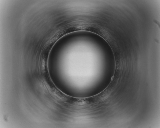 X0000099490646200805151408