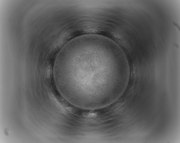 X0000099490647200805151408
