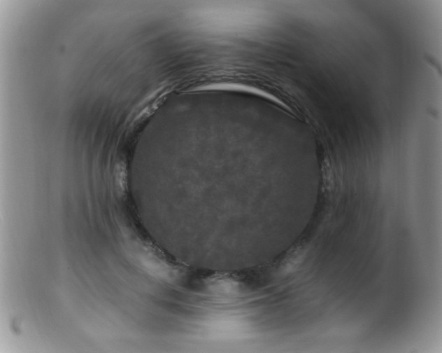 X0000099490648200805151408