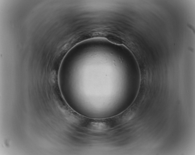X0000099490649200805151408