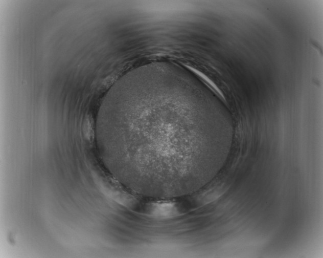 X0000099490651200805151408