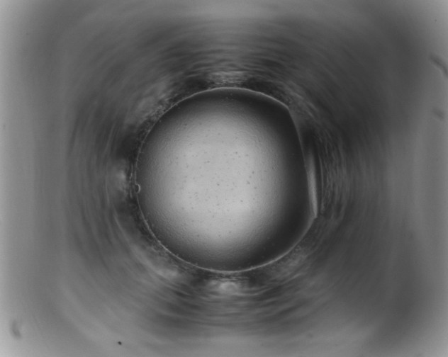 X0000099490655200805151408