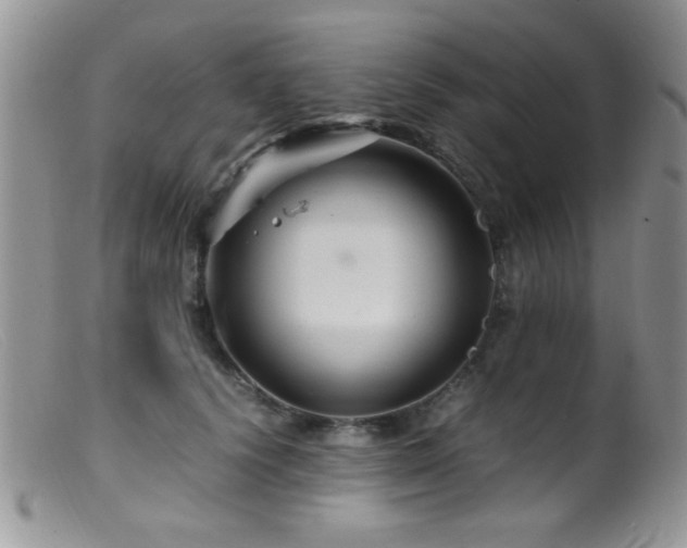 X0000099490656200805151408