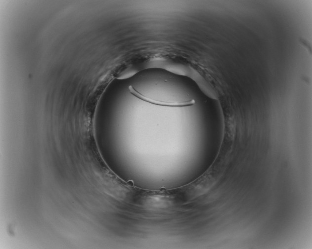 X0000099490657200805151408