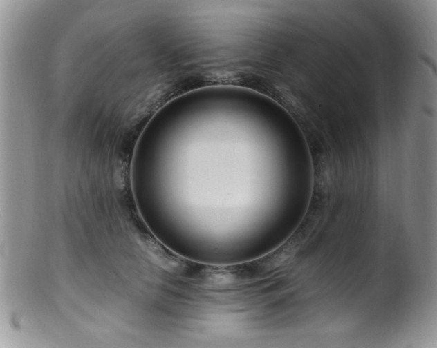 X0000099490658200805151408